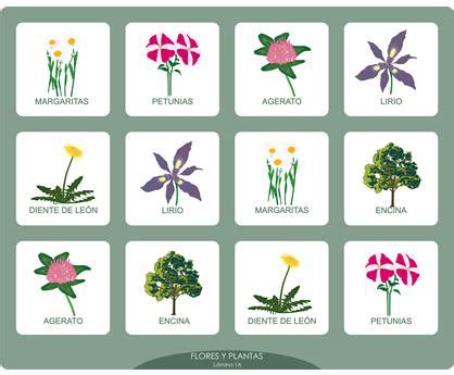 Nombres de plantas con flores   Imagui