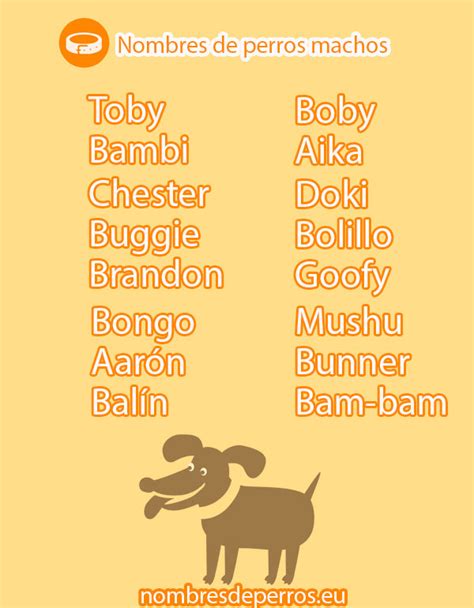 Nombres para perros machos | Nombresdeperros.eu