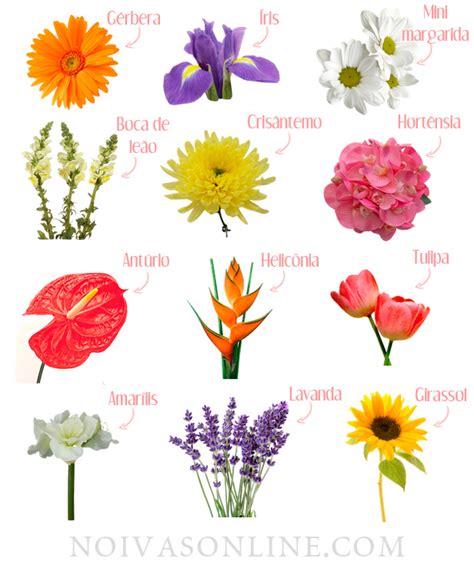 Nomes das flores usadas em casamentos | flores | Pinterest ...
