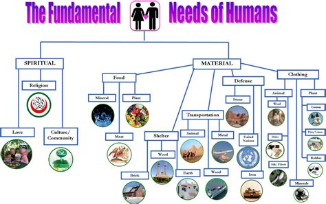 Noor Janan Homeschool: Fundamental Needs of Human