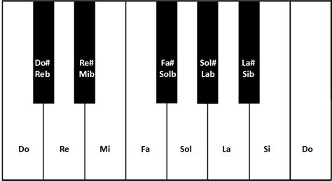 Notas musicales: ¿Cuáles son y cómo se clasifican ...