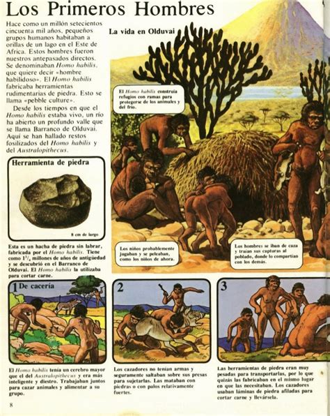 Noticias de la Prehistoria: La prehistoria ilustrada para ...