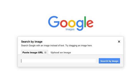 Now You Can Do a Google Reverse Image Search From Your ...