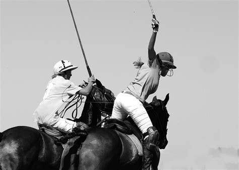 NSW to host World Polo Championship for the first time ...