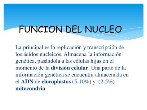 Núcleo y nucleolo   celulas eucariotas