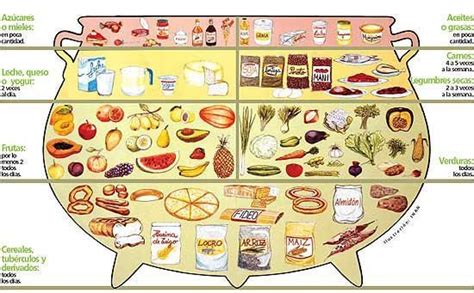 Nueva guía alimentaria paraguaya   Nacionales   ABC Color