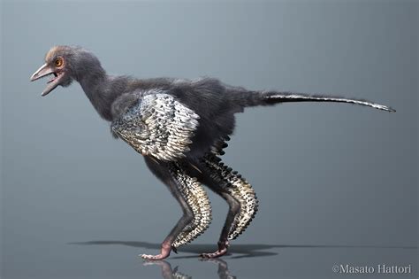 Nuevo dinosaurio parecido a un ave da más pistas sobre los ...