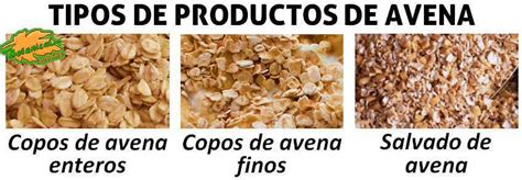 Nutricion Cereales Integrales Como Avena | BLSE
