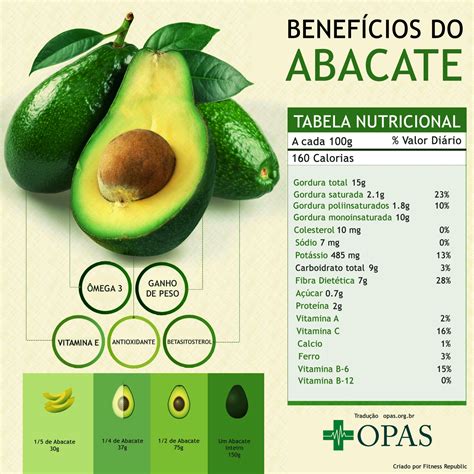 O Abacate e Sua Importância à Saúde