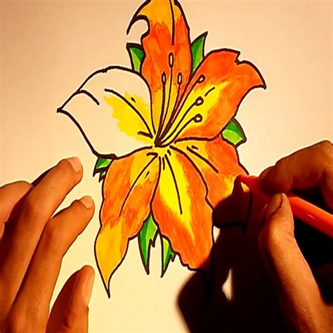 O Dibujar Y Pintar Dibujos De Rosas O Flores Para Colorear ...