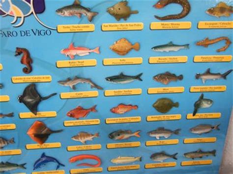O mar/Nome dos peixes en galego e castelán