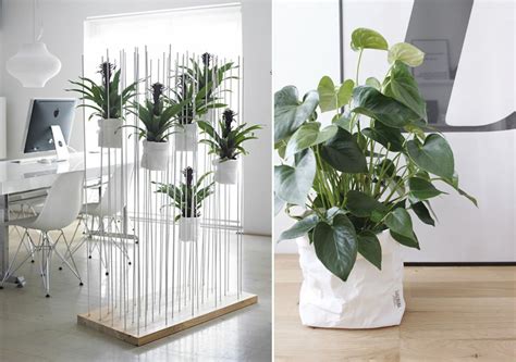 O que é Plantscaping  e como inserir plantas em interiores