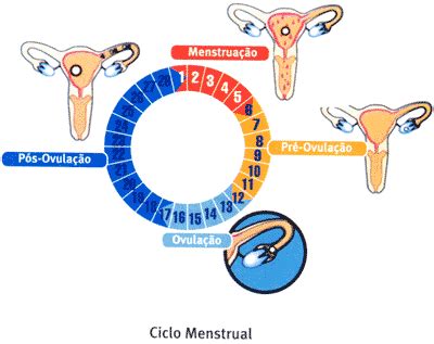 O que pode afetar o ciclo menstrual   SM