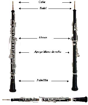oboe   Blog de elmundoderochi