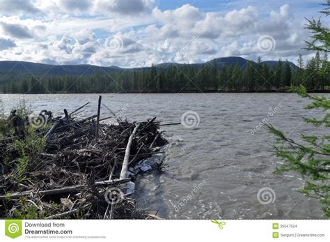 Obstruction Of Logs On The River Suntar. Stock Images ...