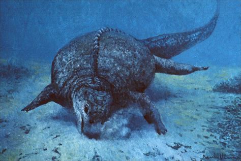 ocean dinsaurs | the Prehistoric Ocean: Illustrations of ...