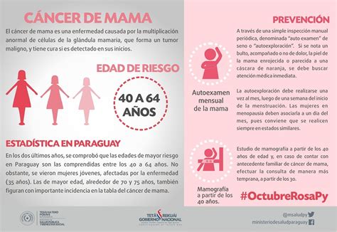 #OctubreRosaPy ¿Qué es el cáncer de mama?   Ministerio de ...