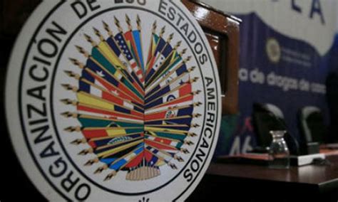 OEA discutirá hoy situación de Venezuela   Sandy Aveledo ...