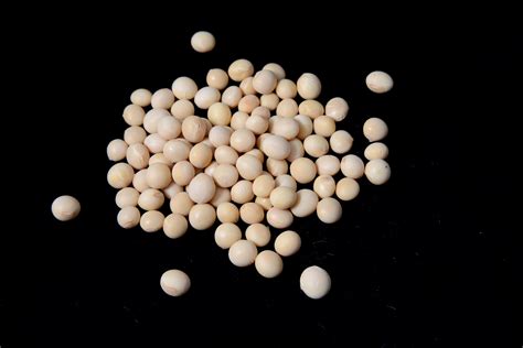Off patent GMO soybeans: What happens now?   Biology ...