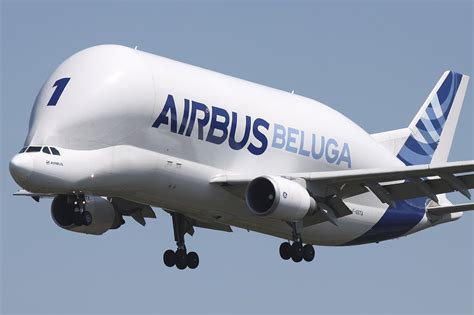 ONE OF A KIND Airbus Beluga Air Transport Aircraft   YouTube
