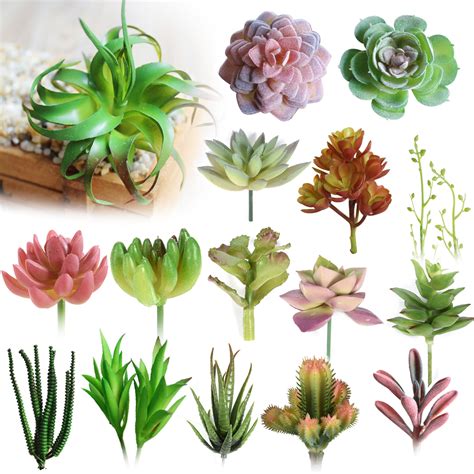 Online Buy Wholesale artificial succulent plants from ...