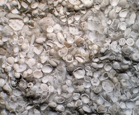 Oolitic Limestone   A calcite cemented calcareous stone ...