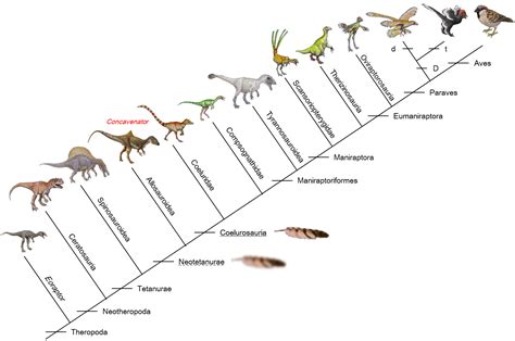 Opiniones de anexo clasificacion de los dinosaurios