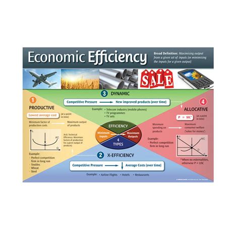 Opinions on efficiency economics