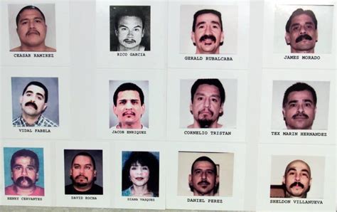 orange county gangs | Search Results | Dunia Photo
