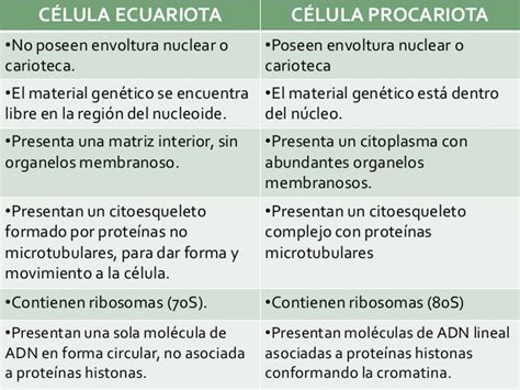 Organelos  celulas procariotas y ecuriotas