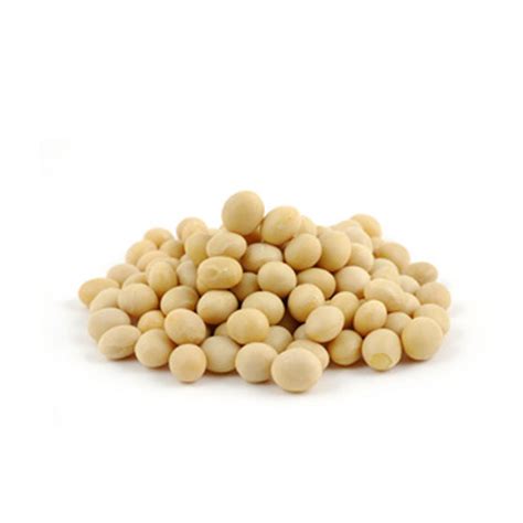 Organic Soy Bean Seeds From 1/2kg to 5kg | eBay