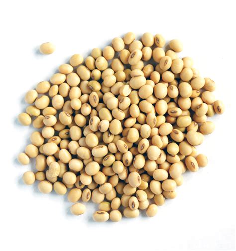 Organic Soya Beans – Kialla Pure Foods