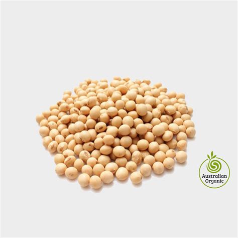 Organic Soybean Seeds for Sale   Online