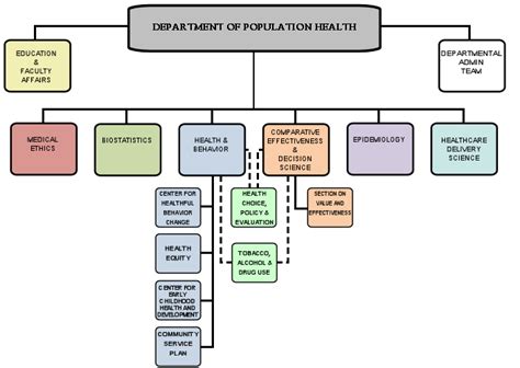 Organizational Chart | Department of Population Health
