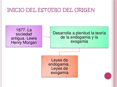 Origen y evolucion historica de la familia