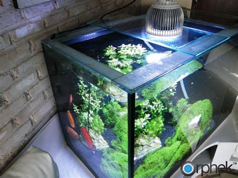Orphek PR72 Plantado acuario de iluminación LED