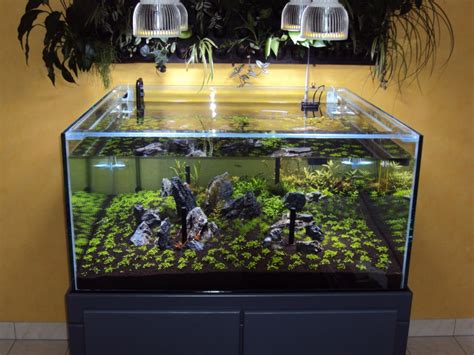 Orphek • PR72 Planted Aquarium LED Lighting