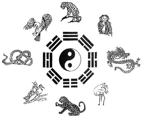os animais e o kung fu | Academia T ai Hu de Kung Fu