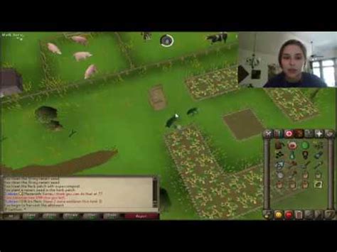 OSRS Herb Run/ Patch Location Guide   YouTube