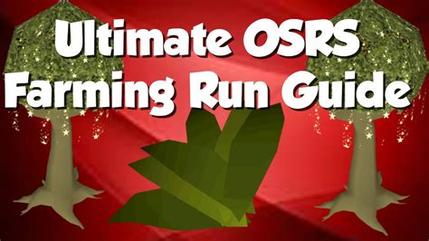 [OSRS] Ultimate Farming Run Guide   YouTube