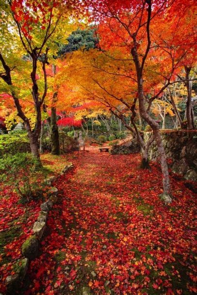Otoño en Kyoto, Japón | Japón | Pinterest | Otoño, Paisaje ...