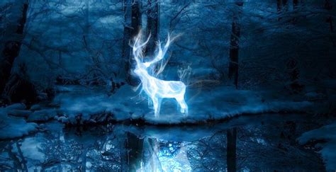 Otter Or Squirrel? Discover Your  Harry Potter  Patronus ...