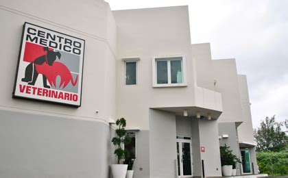 Our Veterinary Hospital in Guaynabo | Veterinarians ...