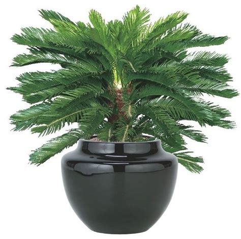 Outdoor Artificial Plant   Artificial Flowers Plants And ...