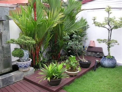Outdoor, Tropical Plants For Small Garden Design With Dark ...