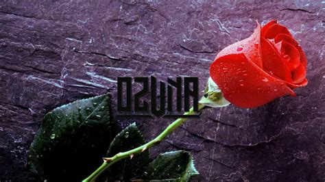 Ozuna   una flor  letra  preview   YouTube
