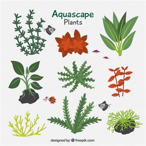 Pack de plantas acuáticas | Descargar Vectores gratis