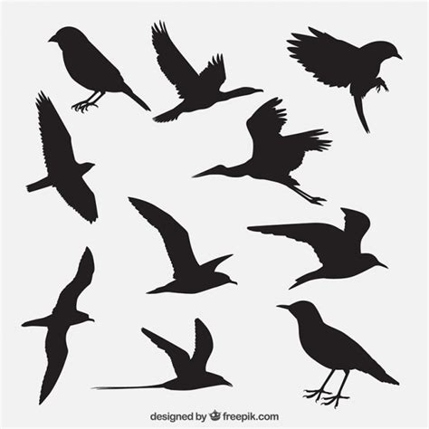Pack de siluetas de pájaro | Descargar Vectores gratis