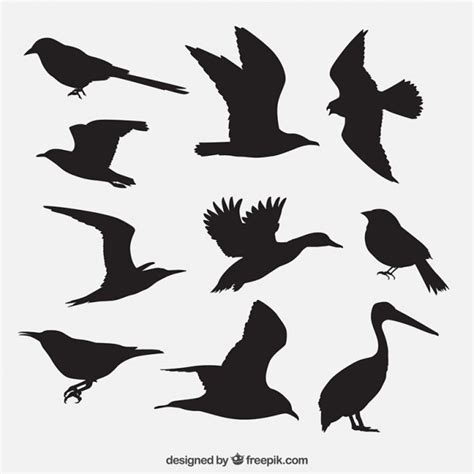 Pack de siluetas de pájaros | Descargar Vectores gratis