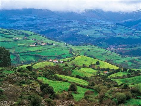 paisaje agrario montaña húmeda | PAISAJES AGRARIOS DE ...
